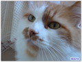 DSC05740.jpg